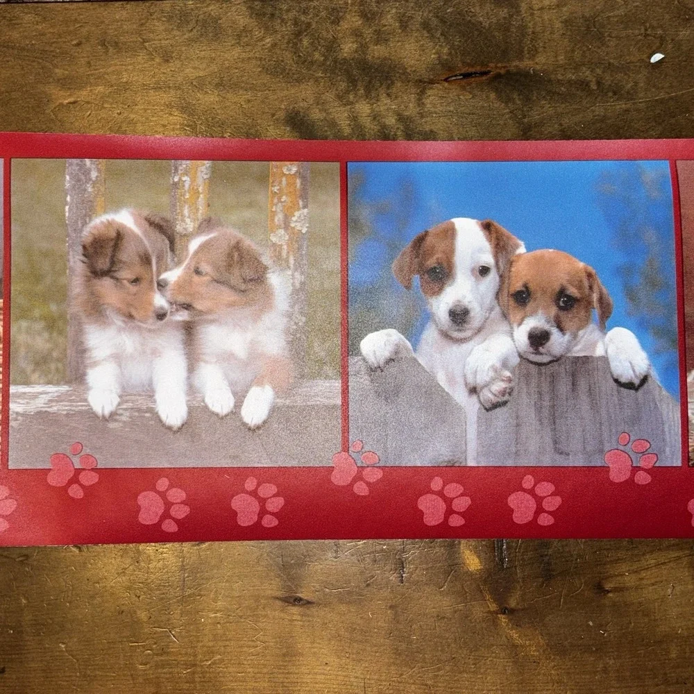 3pc VTG Puppy Dog Burgandy Wallpaper Border Taylor Pre-Pasted 7